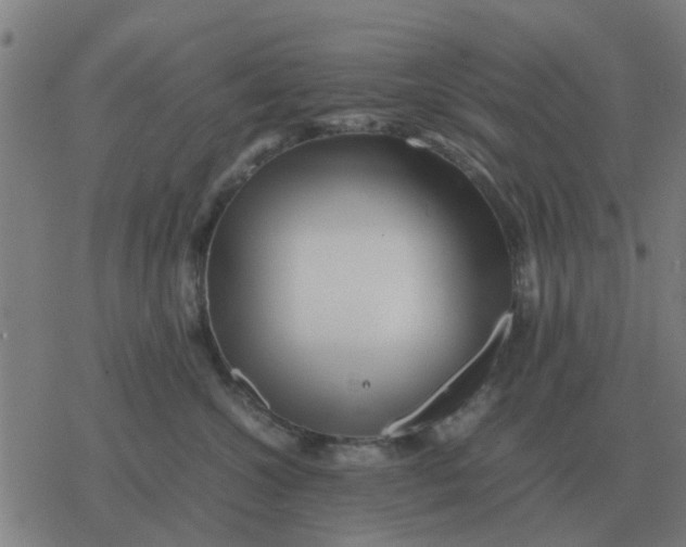 X0000077390572200611101757