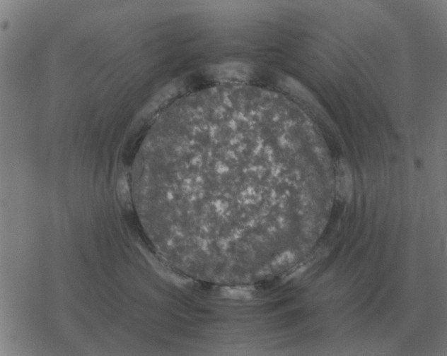 X0000077390573200611101757