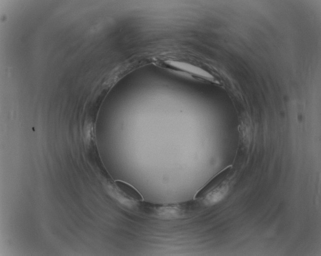 X0000077390574200611101757