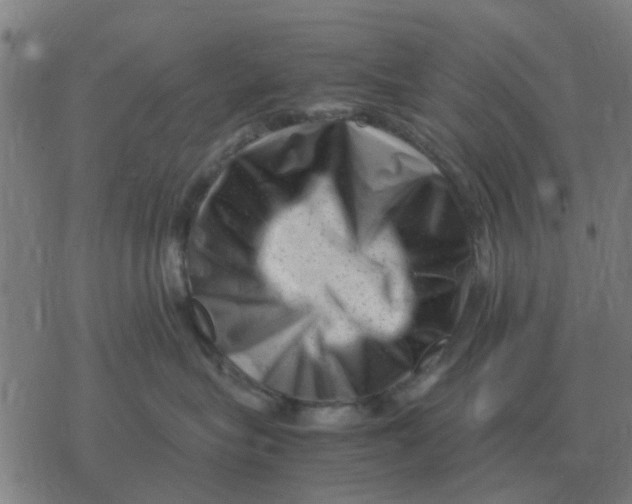 X0000077390575200611101757