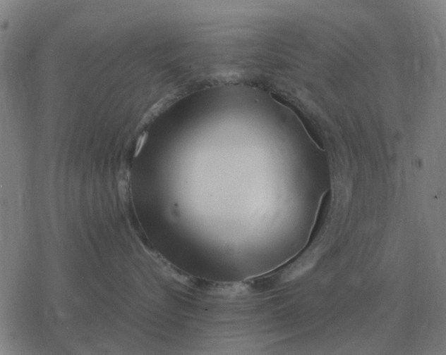 X0000077390576200611101757