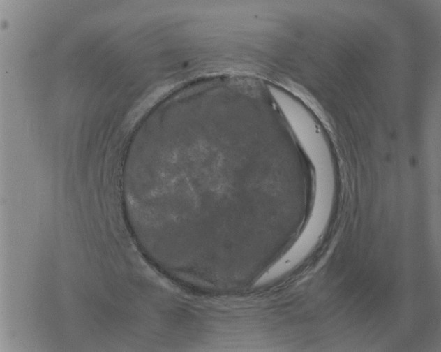 X0000077390577200611101757