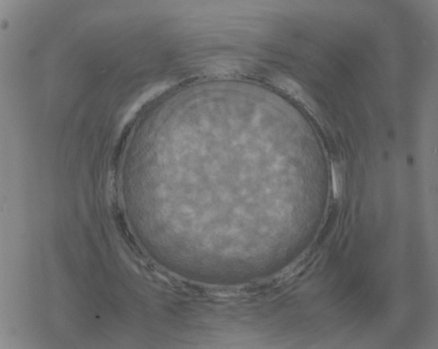 X0000077390579200611101757