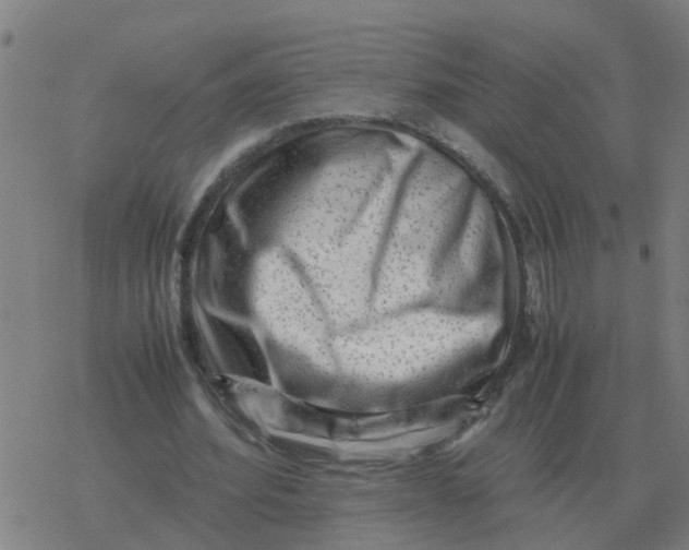 X0000077390580200611101756