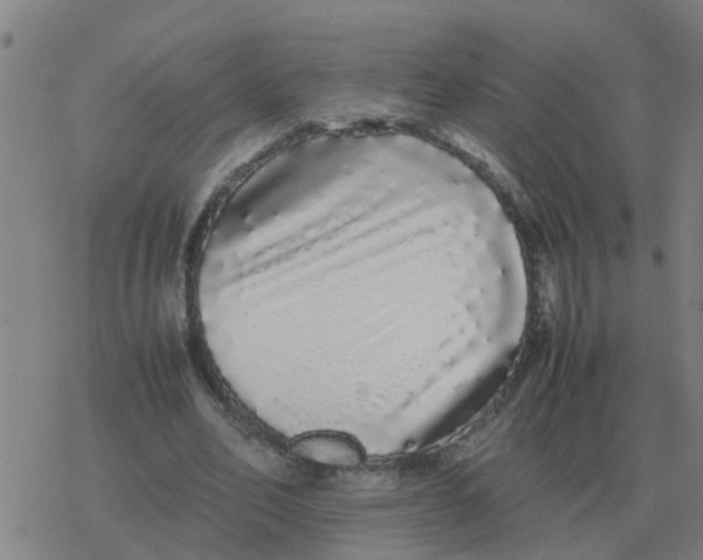 X0000077390582200611101756