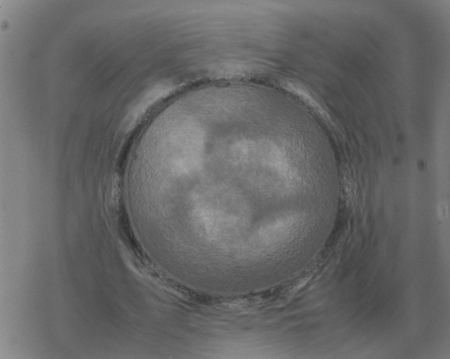 X0000077390583200611101756