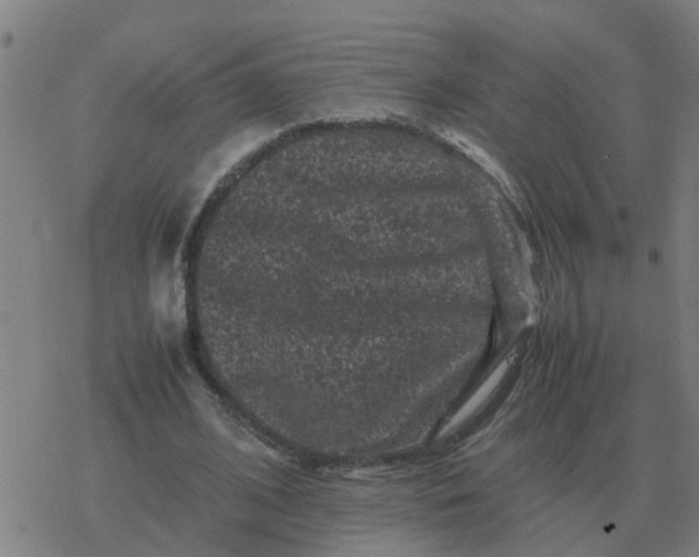 X0000077390584200611101756