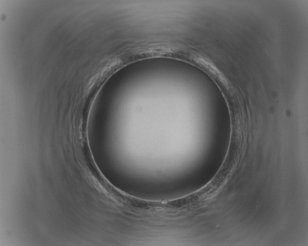 X0000077390585200611101756