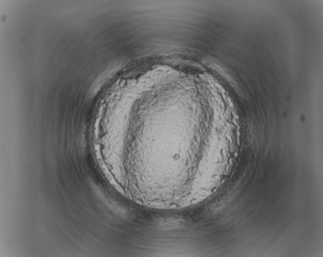 X0000077390586200611101756