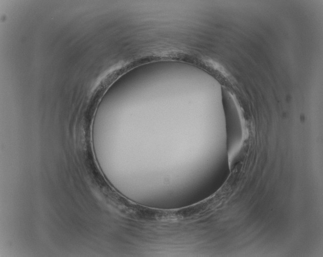 X0000077390587200611101756