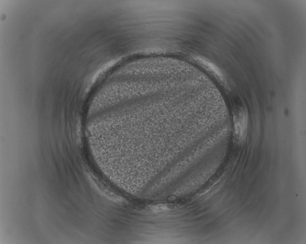 X0000077390588200611101756