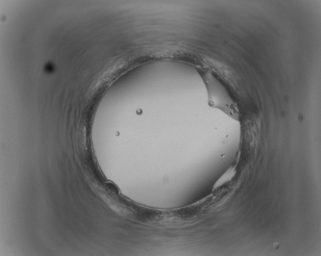 X0000077390589200611101756