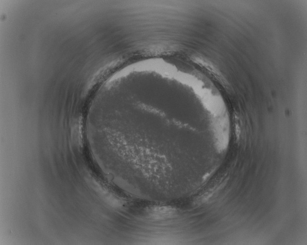 X0000077390590200611101756