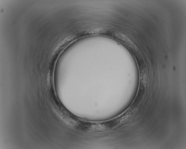 X0000077390591200611101756