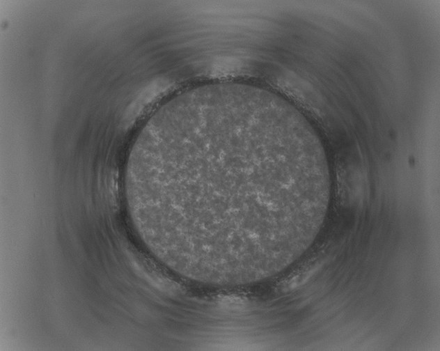 X0000077390592200611101756