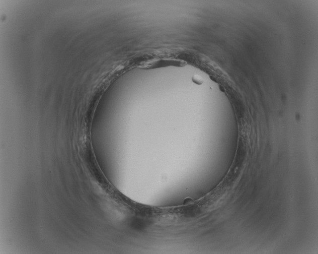 X0000077390593200611101756