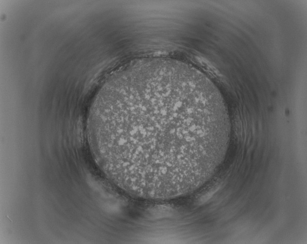 X0000077390594200611101756