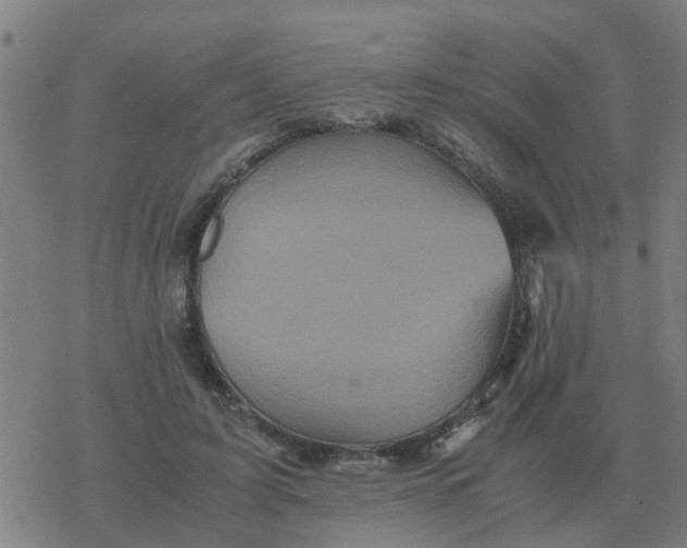 X0000077390595200611101756