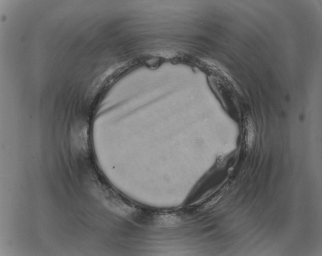 X0000077390596200611101756