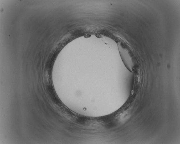 X0000077390597200611101756