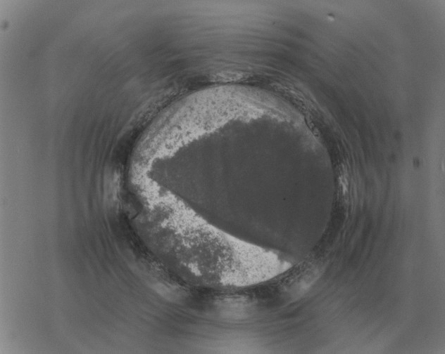 X0000077390598200611101756