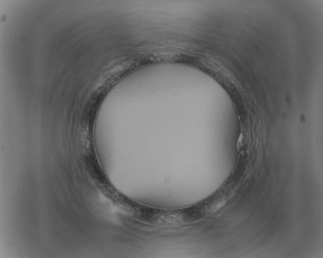 X0000077390599200611101756