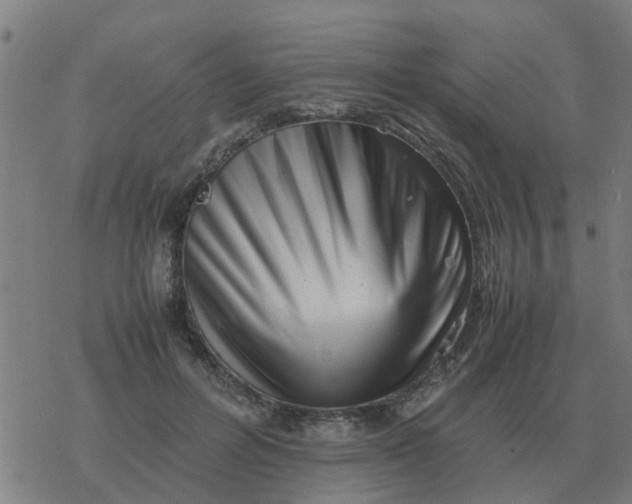 X0000077390600200611101756