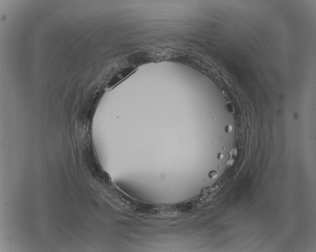 X0000077390601200611101756