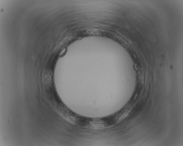 X0000077390603200611101756