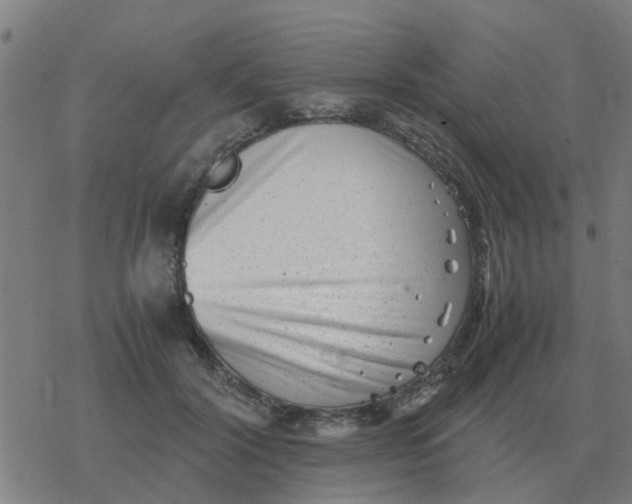 X0000077390604200611101756