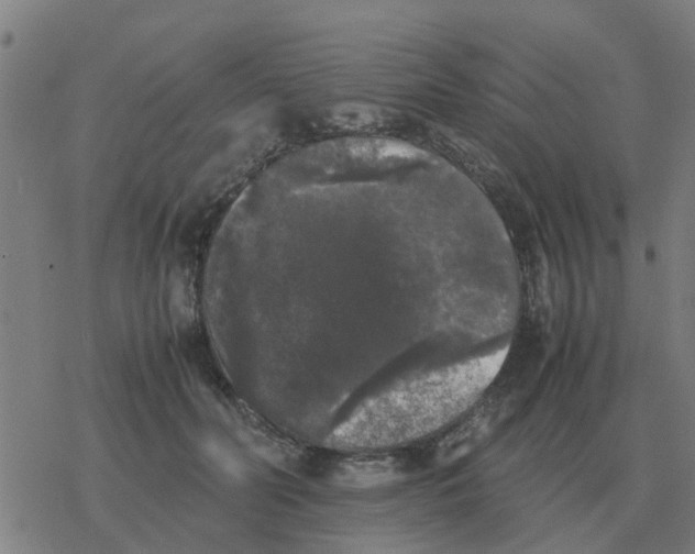 X0000077390606200611101756