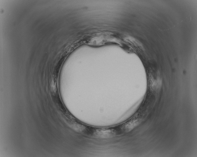 X0000077390607200611101756