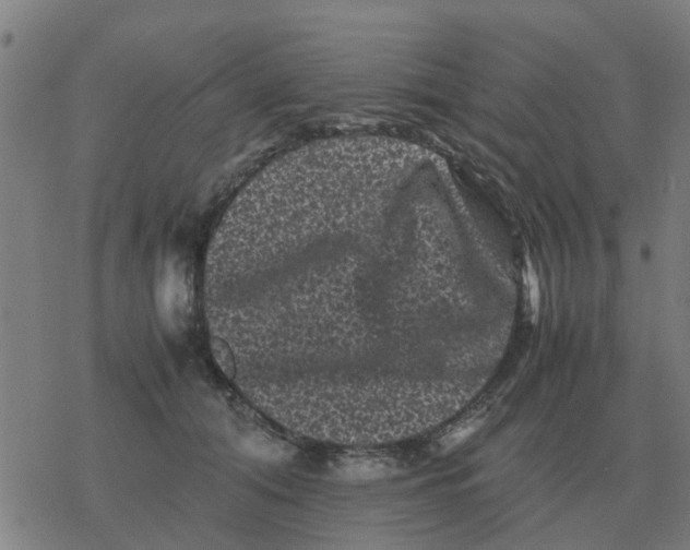 X0000077390608200611101756