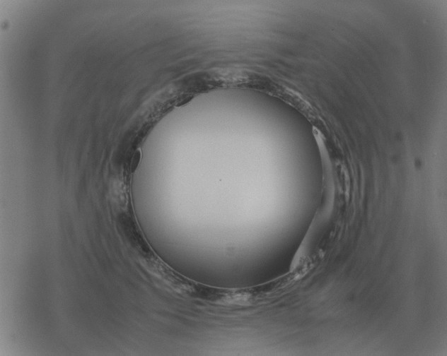 X0000077390609200611101756