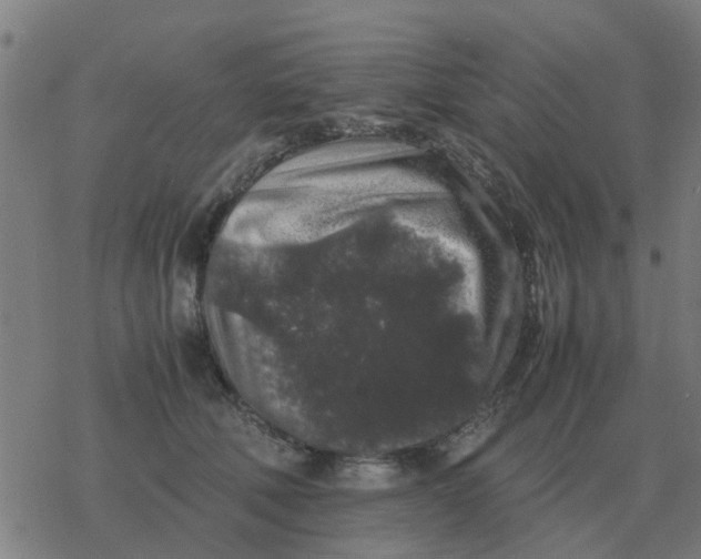 X0000077390610200611101756