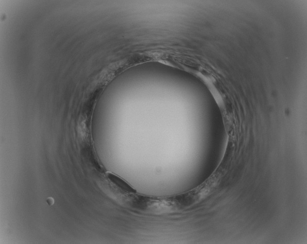 X0000077390611200611101756