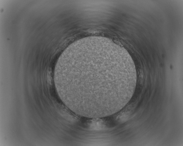 X0000077390612200611101756