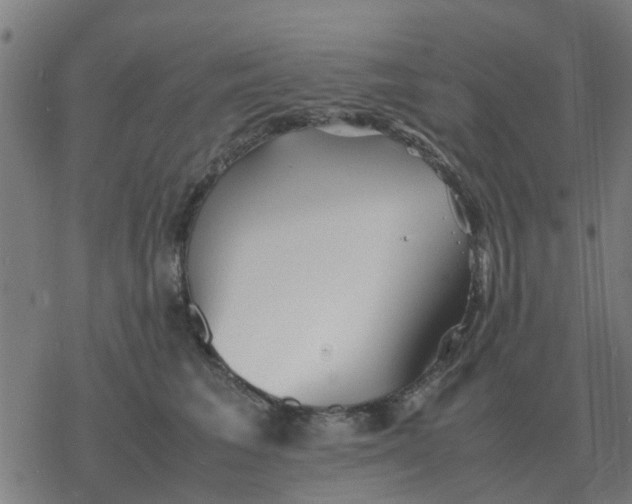 X0000077390613200611101756