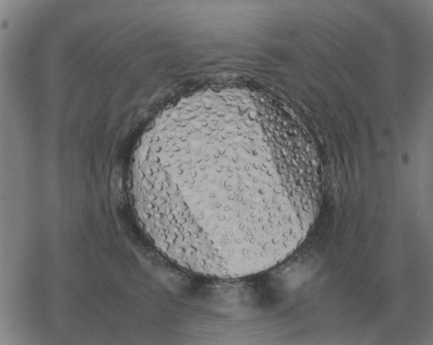 X0000077390615200611101756