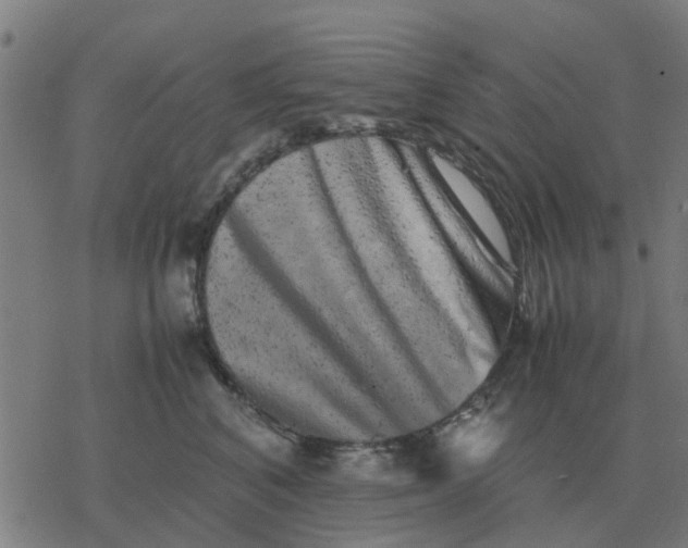 X0000077390616200611101756