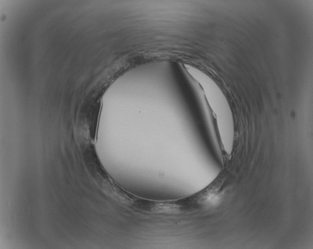 X0000077390617200611101756