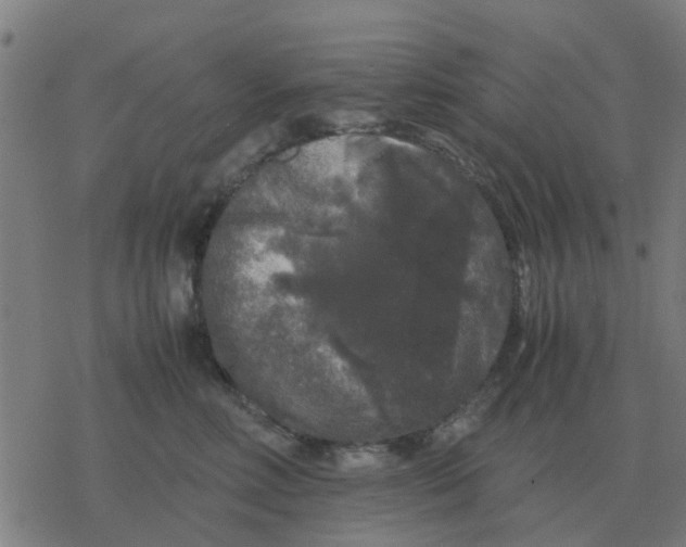 X0000077390618200611101756