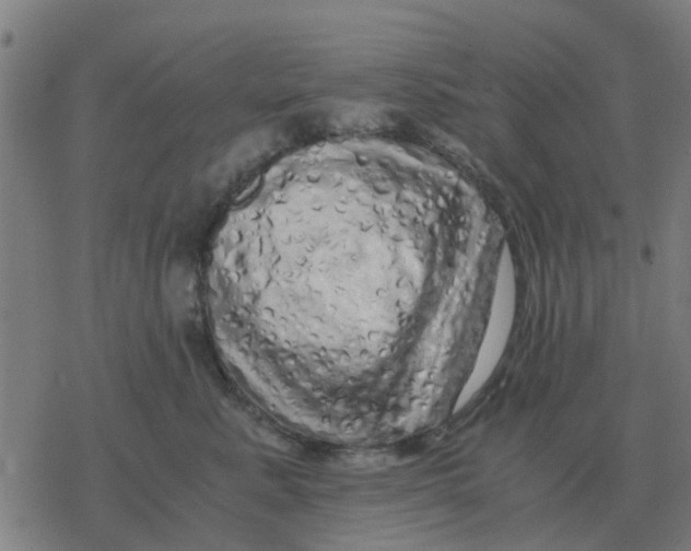 X0000077390619200611101756