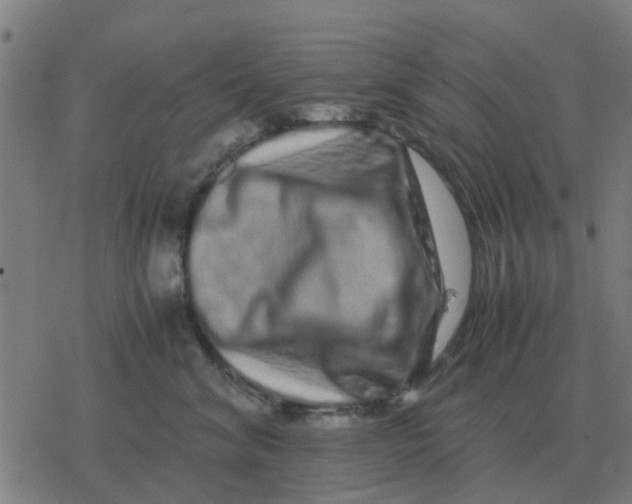 X0000077390620200611101756