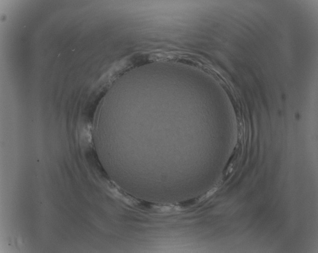 X0000077390621200611101756