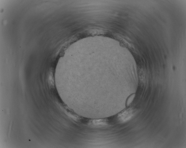 X0000077390622200611101756