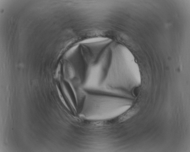 X0000077390624200611101756