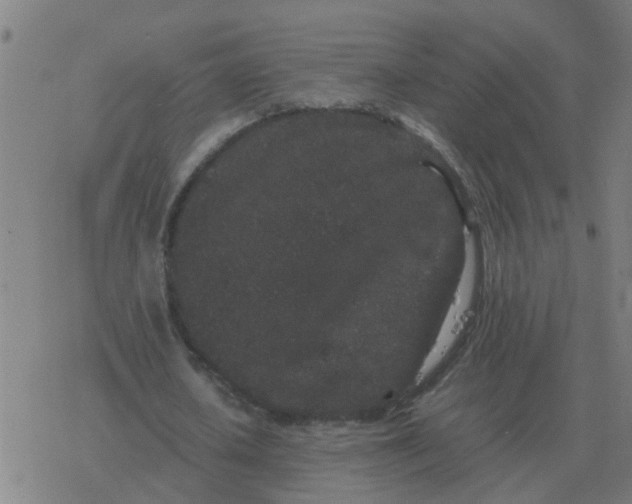 X0000077390626200611101755