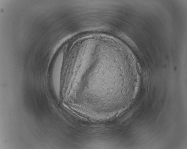 X0000077390628200611101755