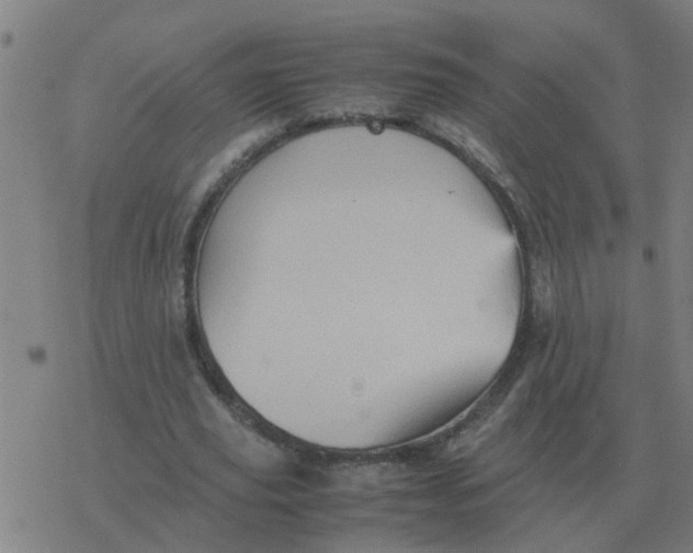 X0000077390629200611101755